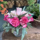 roses-dozen-001