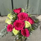 roses-dozen-005